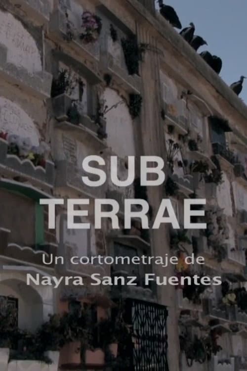 Poster for Sub Terrae