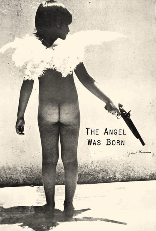 Poster for The Angel Was Born