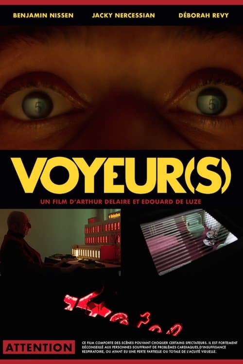 Poster for Voyeur(s)
