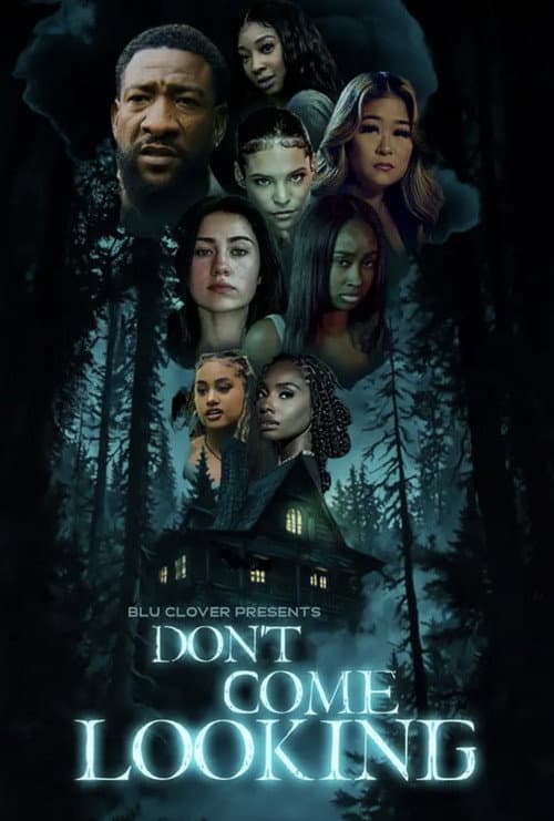 Poster for Don't Come Looking