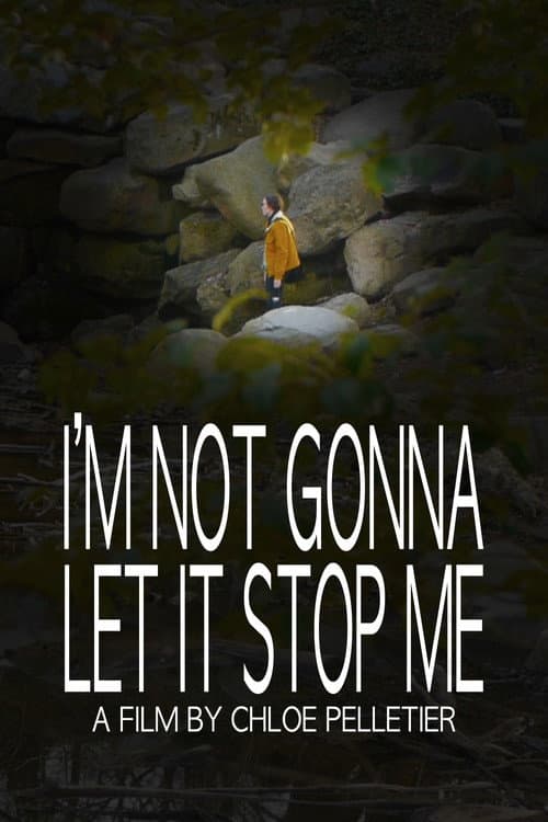 Poster for I'm Not Gonna Let It Stop Me