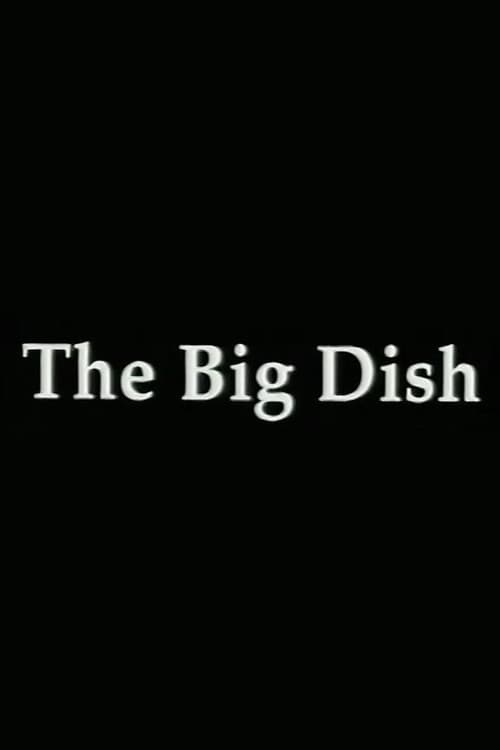 Poster for The Big Dish: Tiananmen 89