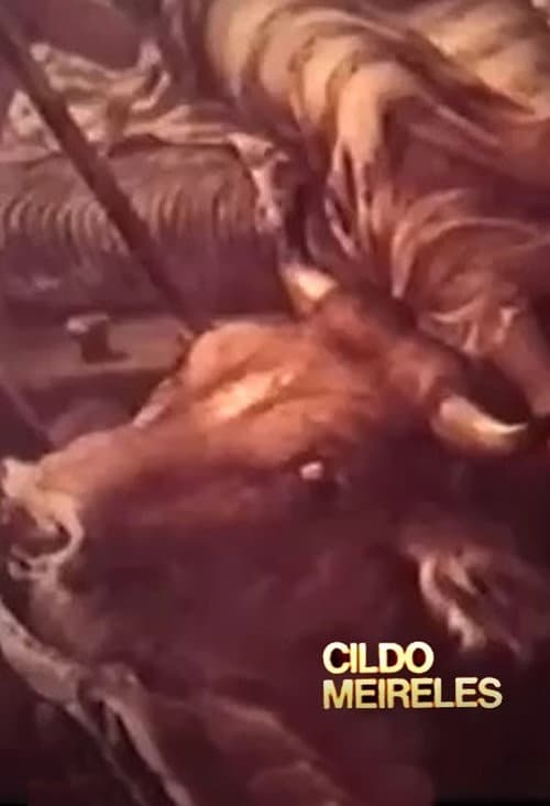 Poster for Cildo Meireles