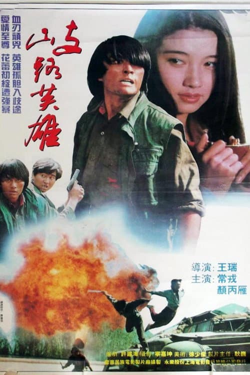 Poster for 歧路英雄