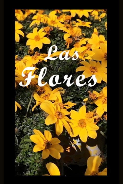 Poster for The Flowers