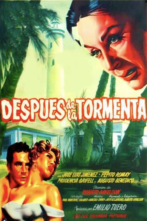 Poster for Después de la tormenta