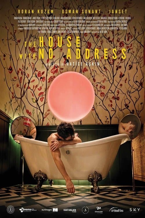 Poster for The House with No Address
