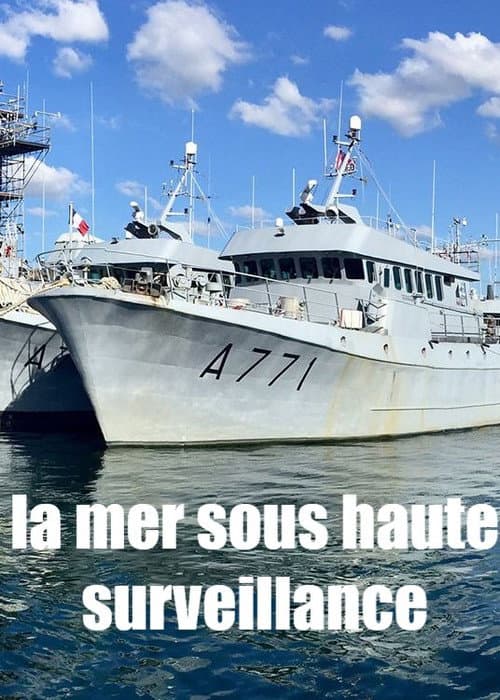 Poster for La mer sous haute surveillance