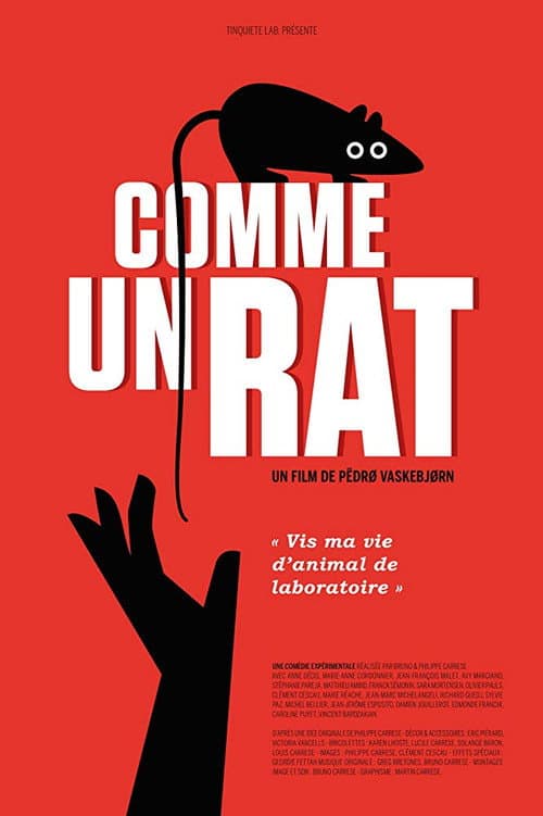 Poster for Comme un rat