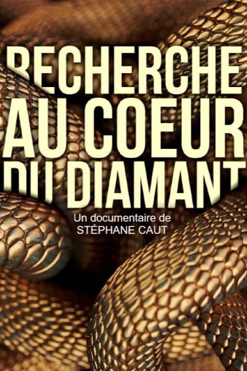 Poster for Recherche au coeur du Diamant