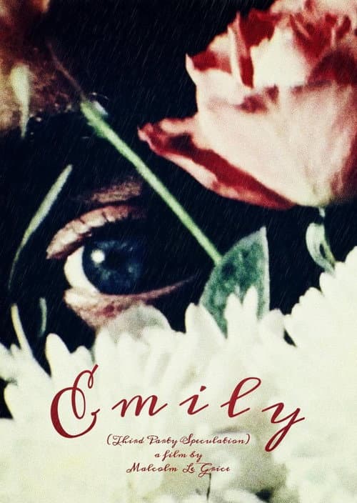 Poster for Emily - Third Party Speculation