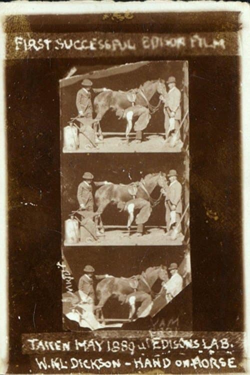 Poster for Horse Shoeing