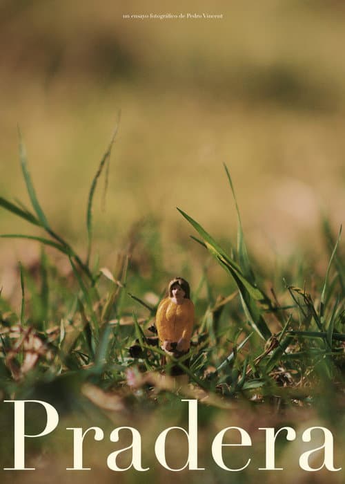 Poster for Pradera