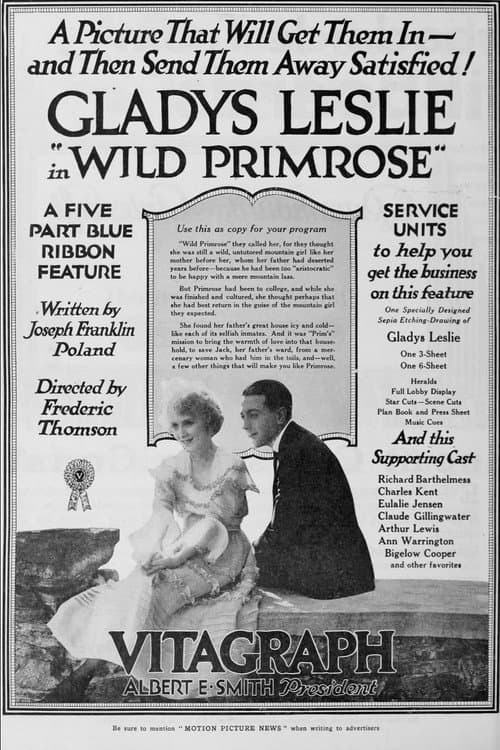 Poster for Wild Primrose