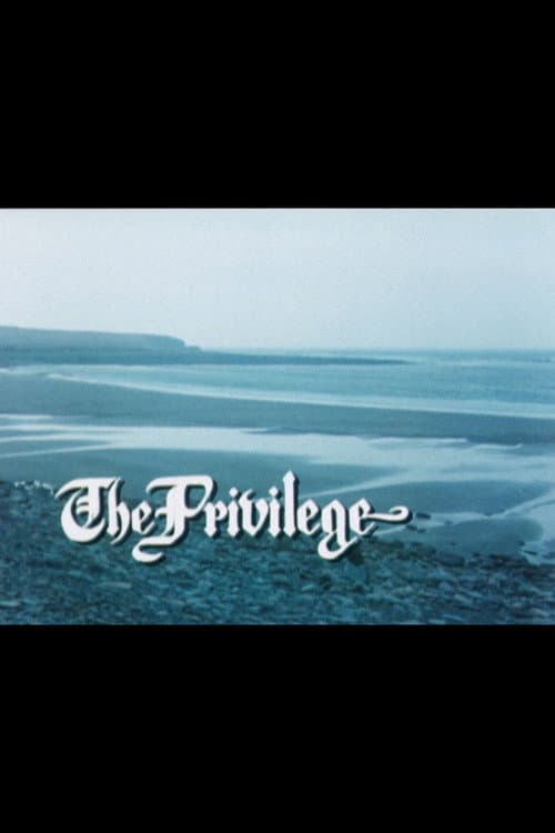 Poster for The Privilege