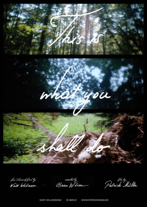 Poster for This Is What You Shall Do