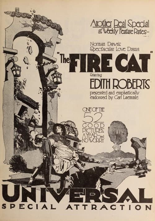 Poster for The Fire Cat