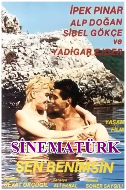 Poster for Sen Benimsin