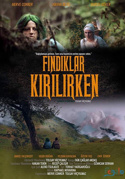 Постер до фільму «Fındıklar Kırılırken»