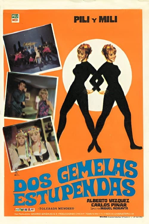Poster for Dos gemelas estupendas