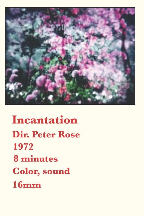 Poster for Incantation