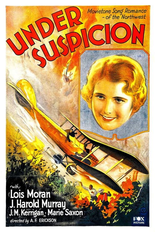 Poster for Under Suspicion