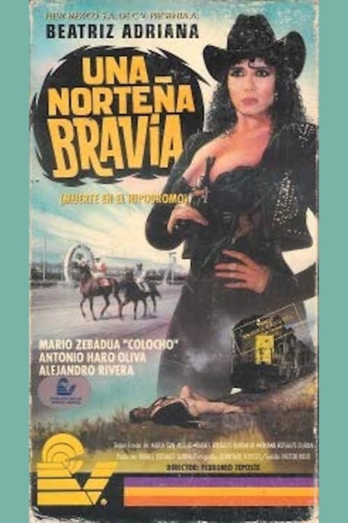 Poster for Una norteña bravía