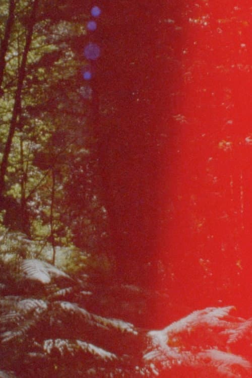 Poster for Newsreel 670 – Red Forests