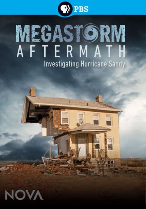 Poster for Megastorm Aftermath