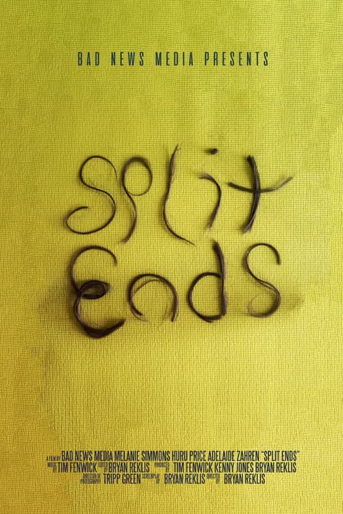 Poster for Split Ends