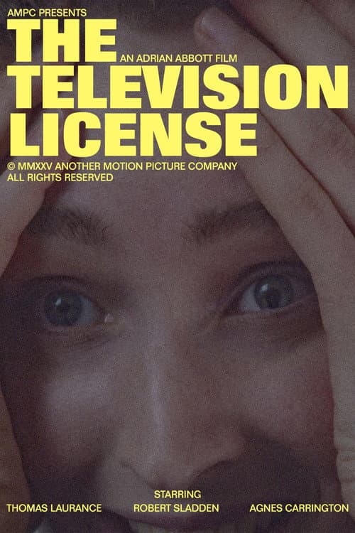 Poster for The Television License