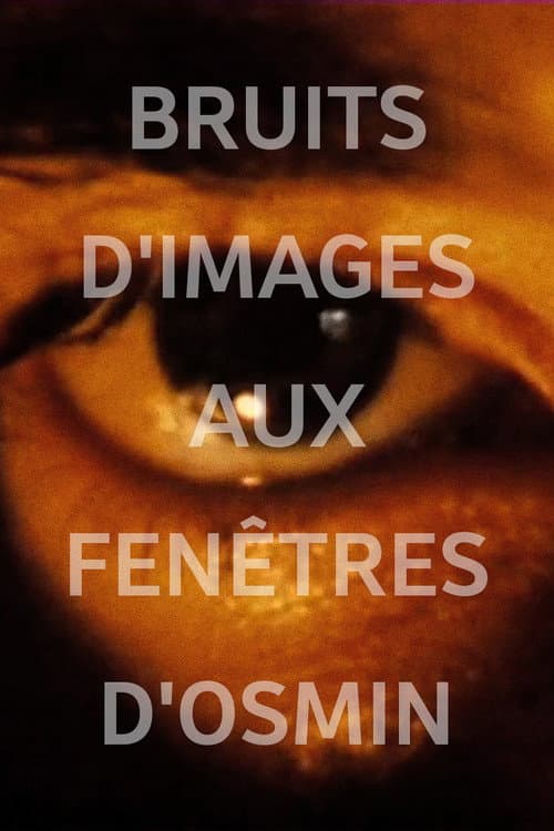 Poster for Image Noise (Osmin's Windows)