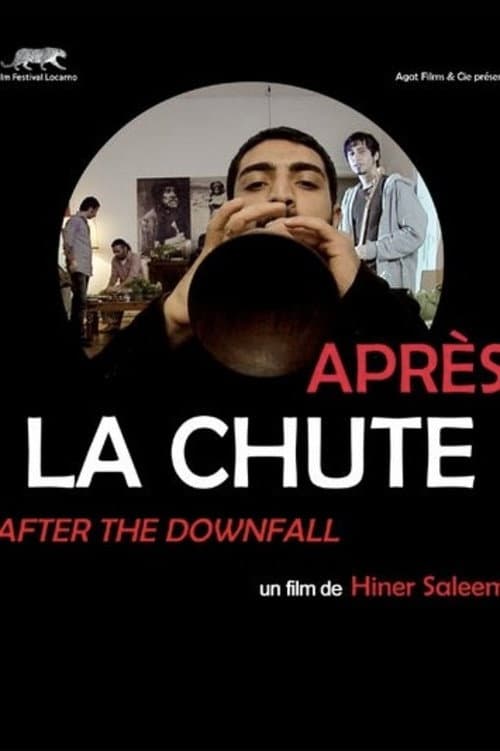 Poster for After the Downfall