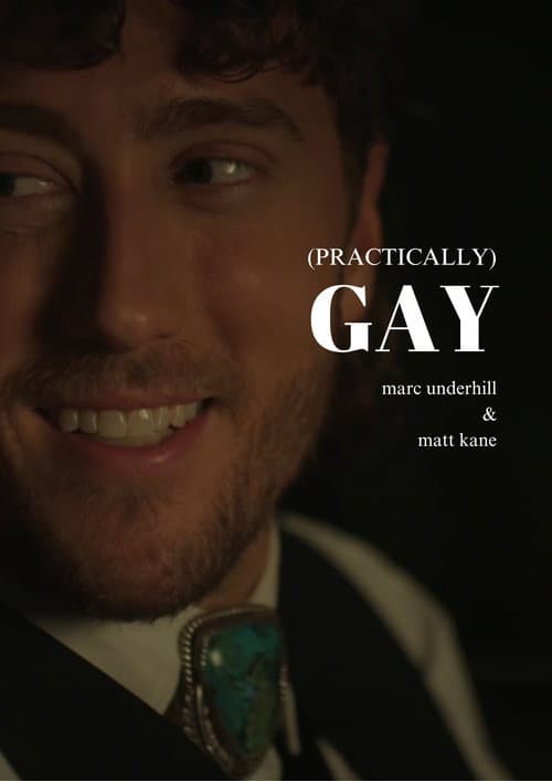 Poster for (Practically) Gay