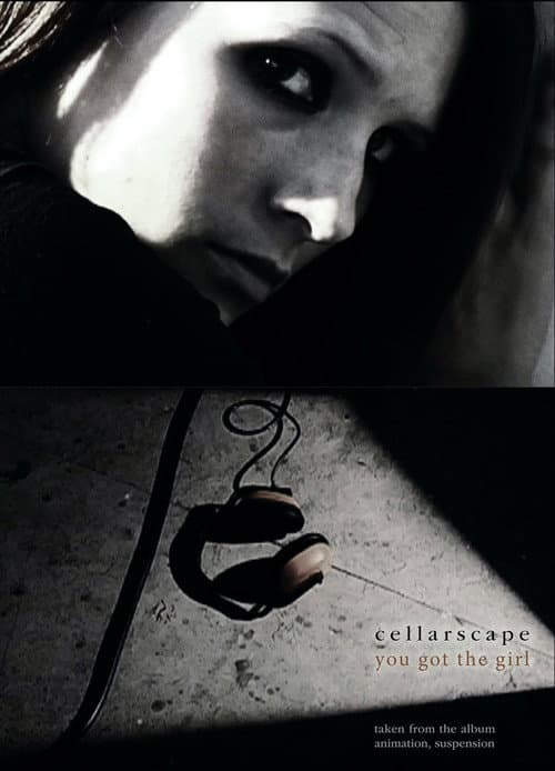 Poster for You Got The Girl