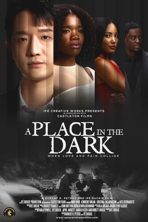 Poster for A Place in the Dark