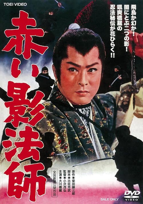 Poster for The Red Shadow