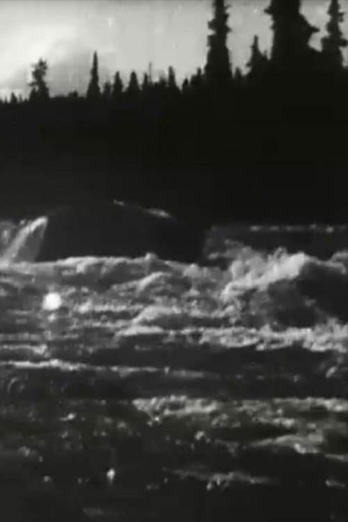 Poster for White Horse Rapids