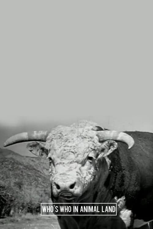 Poster for Who's Who in Animal Land