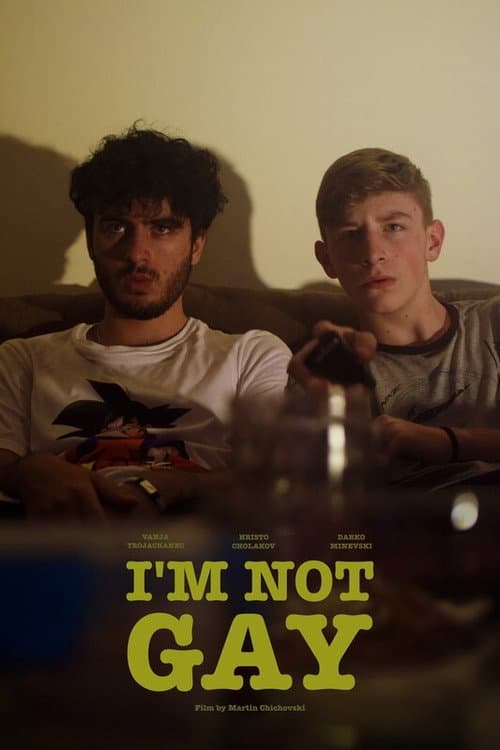 Poster for I’m Not Gay
