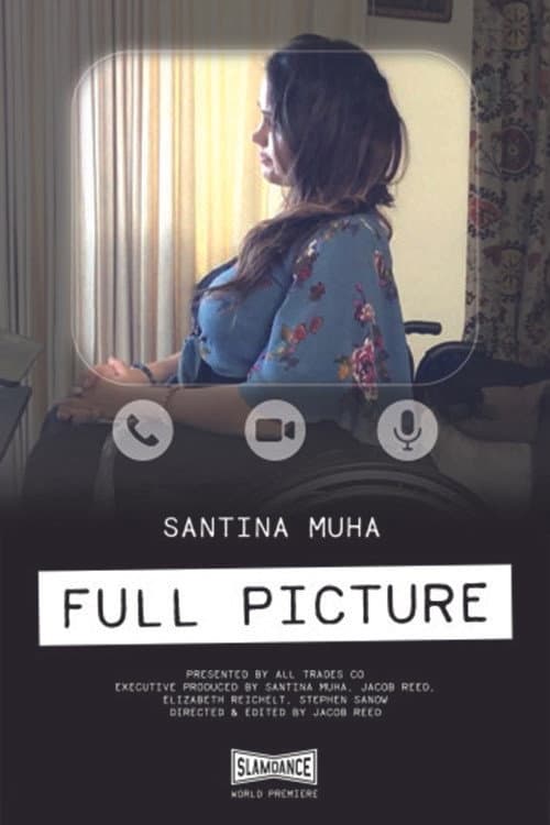 Poster for Full Picture
