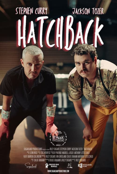 Poster for Hatchback