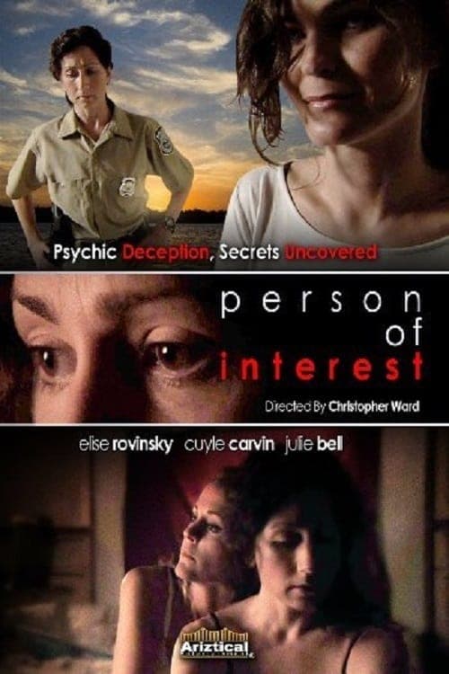 Poster for Person of Interest