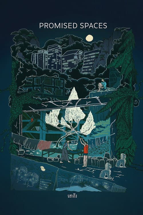 Poster for Promised Spaces