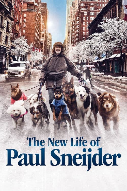 Poster for The New Life of Paul Sneijder