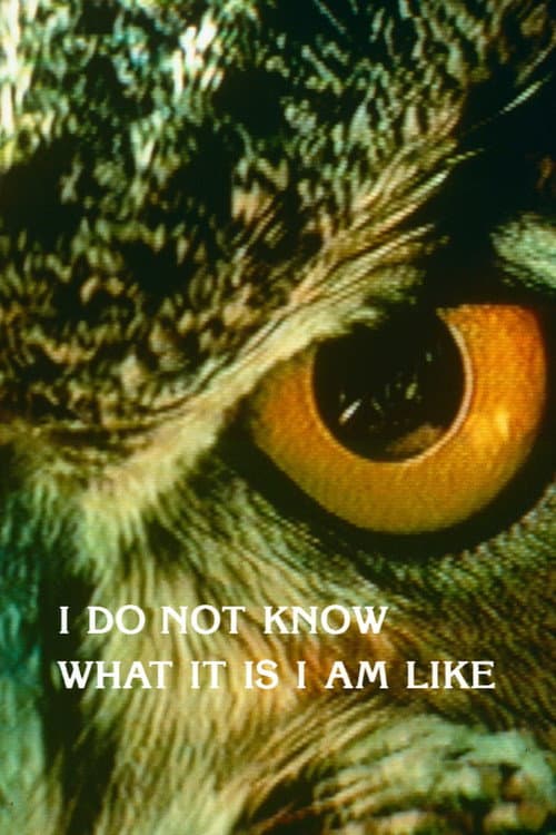 Poster for I Do Not Know What It Is I Am Like