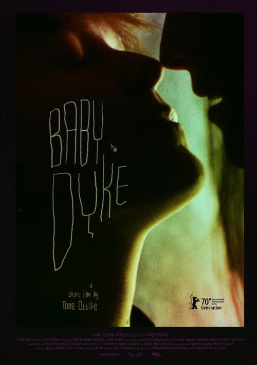 Poster for Babydyke