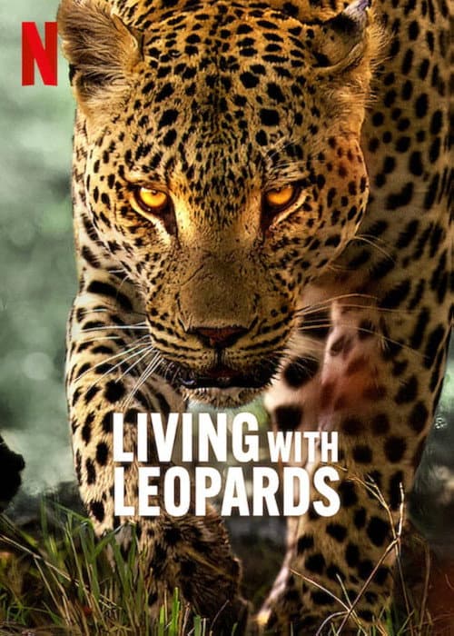 Poster for Living with Leopards