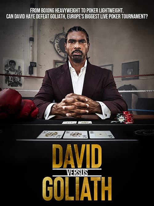Poster for David vs Goliath