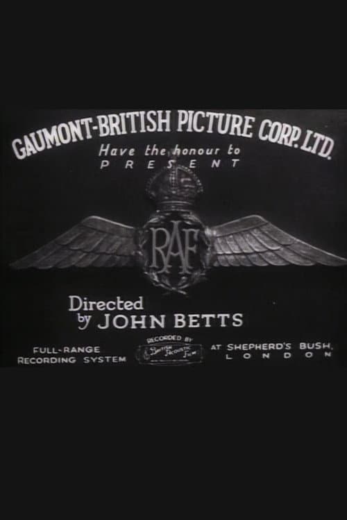 Poster for R.A.F.